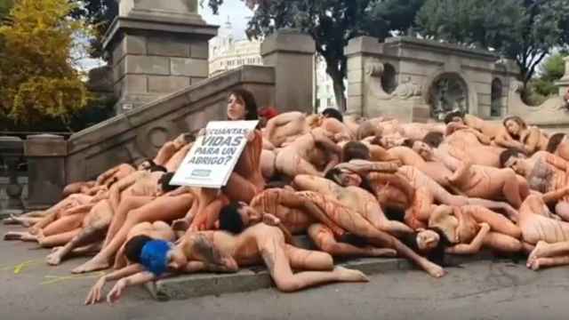 Activistas se desnudan en Barcelona contra el maltrato animal / @AnimaNaturalis
