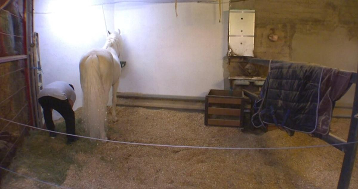 El caballo Chiki junto a su dueño, que le está dando de comer / TV3