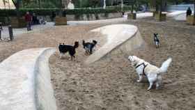 Área de recreo de perros del parque de la Estació del Nord, como las que se implantarán en Barcelona en 2023 para que puedan pasear sin atar, menos los de raza peligrosa / CG