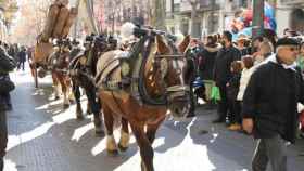 Paseo con caballos durante la Fiesta dels Tres Tombs, uno de los planes de este fin de semana / AJUNTAMENT DE VILANOVA I LA GELTRÚ