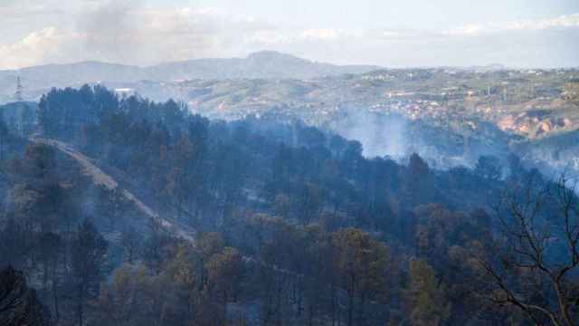 Zona afectada por el incendio forestal de Castellví de Rosanes (Barcelona) / Lorêna Sopena (EP)