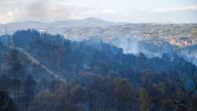 Zona afectada por el incendio forestal de Castellví de Rosanes (Barcelona) / Lorêna Sopena (EP)