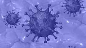 Los investigadores han demostrado que el coronavirus se puede erradicar / EUROPA PRESS