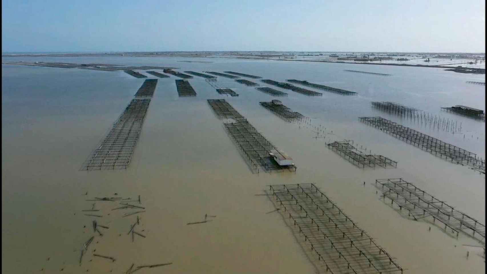 Los arrozales del Delta del Ebro, víctimas del temporal Gloria / EFE