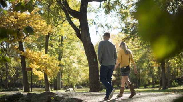 Una pareja camina por un parque / EFE