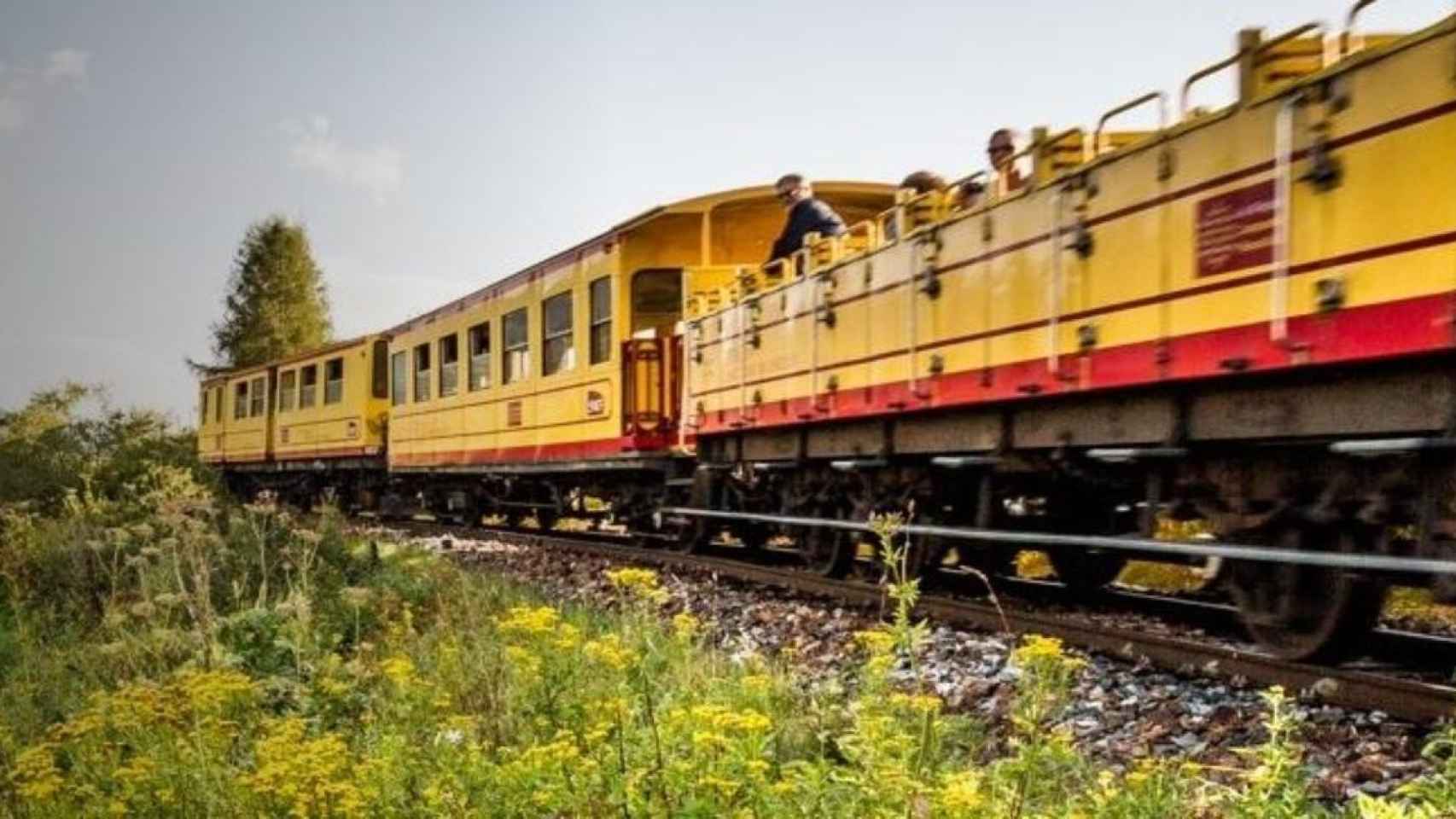 El Tren Amarillo circulando por algunos de los tramos de su recorrido de 63 kilómetros / TURISMO PIRINEOS ORIENTALES