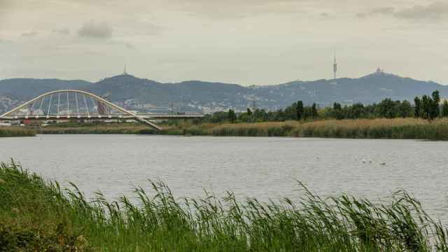 Imagen del río Llobregat / AIGÜES DE BARCELONA