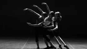Bailarinas de ballet durante un entrenamiento / PIXABAY