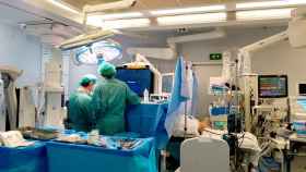 esterilizacion hospitales cataluna