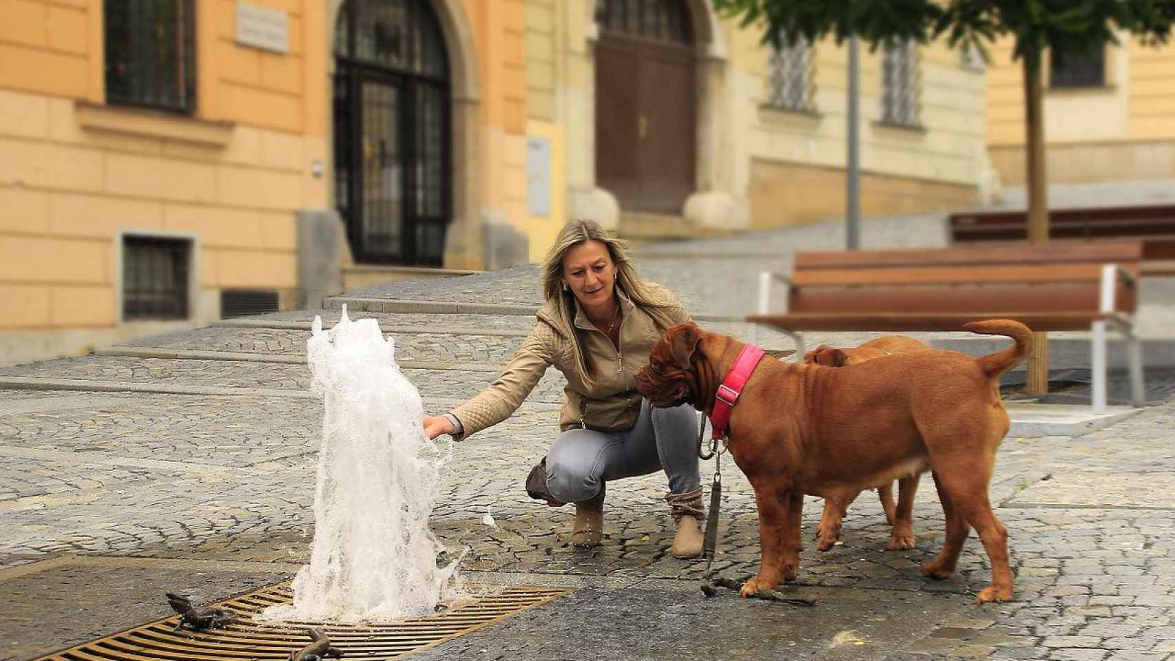 Este perro y su dueña podrían beneficiarse de los beneficios de los urinarios inteligentes  / PIXABAY