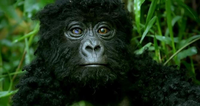 El 'Spy Gorilla', el robot realista que logró captar las imágenes / YOUTUBE