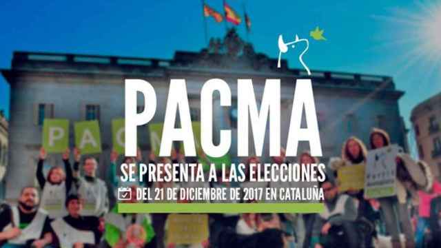 Cartel promocional de PACMA sobre su presencia en las elecciones del 21D en Cataluña / PACMA