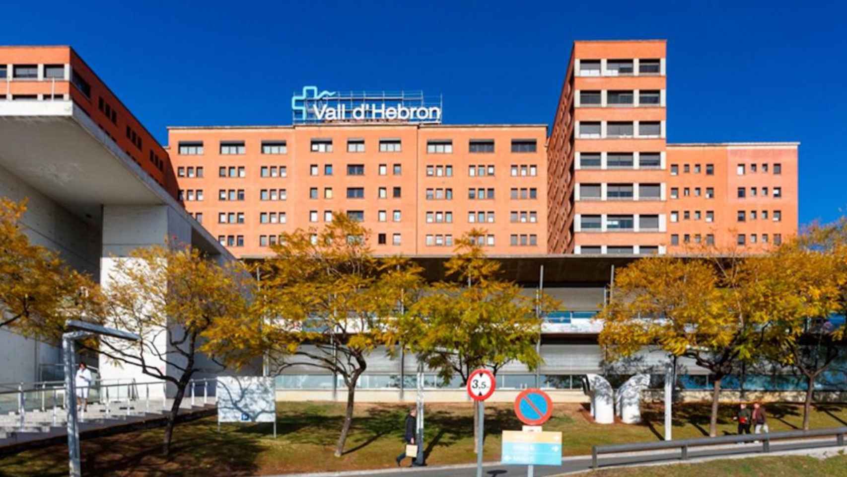 Hospital Vall d'Hebron de Barcelona, donde está ingresado el bebé / EFE