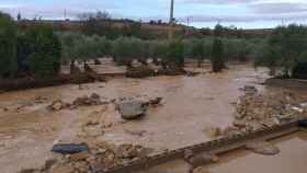 Les Garrigues, en Lleida, sufrió los efectos del temporal de octubre del 2019 / AGENTS RURALS