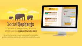 Captura de la web Social Elephants / CG
