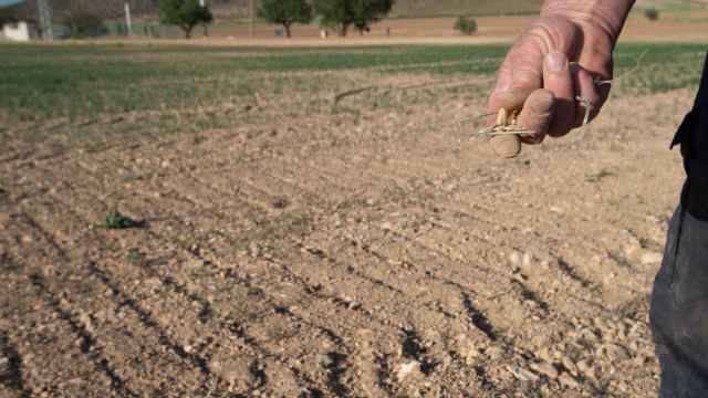 Un agricultor muestra la tierra seca en Murcia / Javier Carrión - EUROPA PRESS