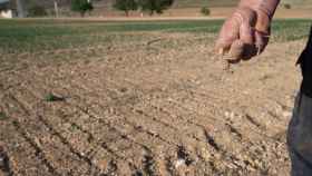 Un agricultor muestra la tierra seca en Murcia / Javier Carrión - EUROPA PRESS