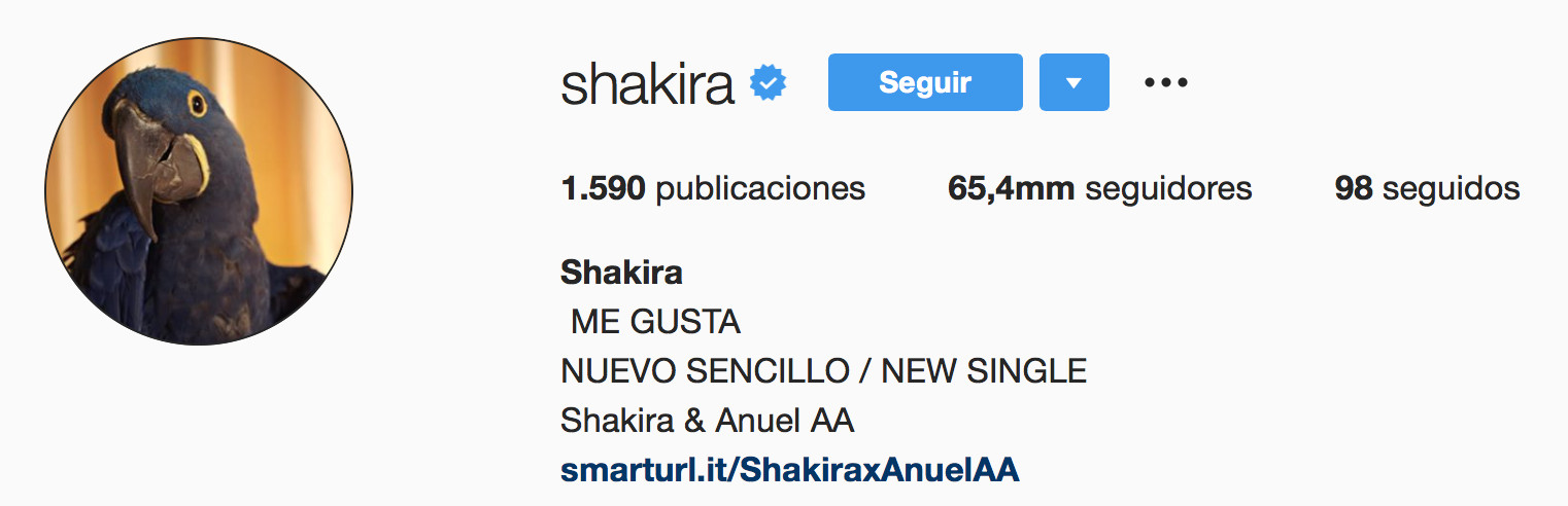 Shakira pone un loro de foto de perfil en instagram