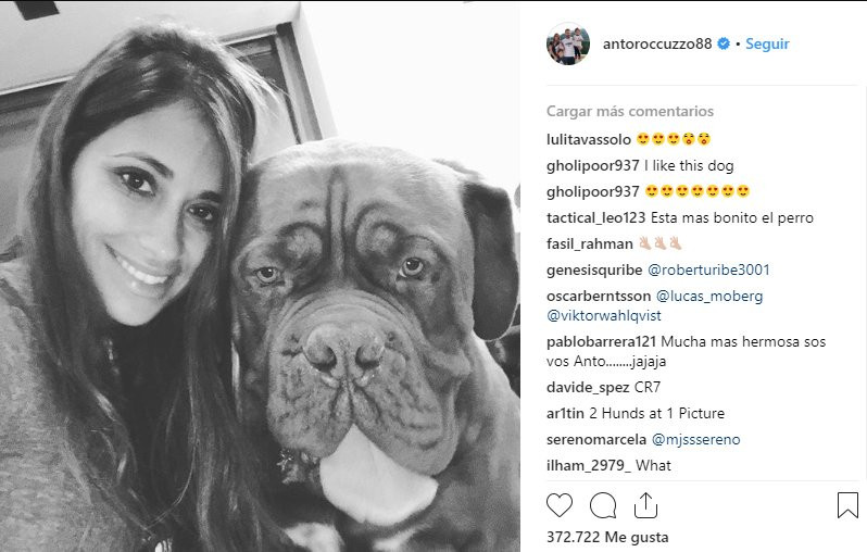 Antonella Roccuzzo junto a la mascota de la familia / Instagram