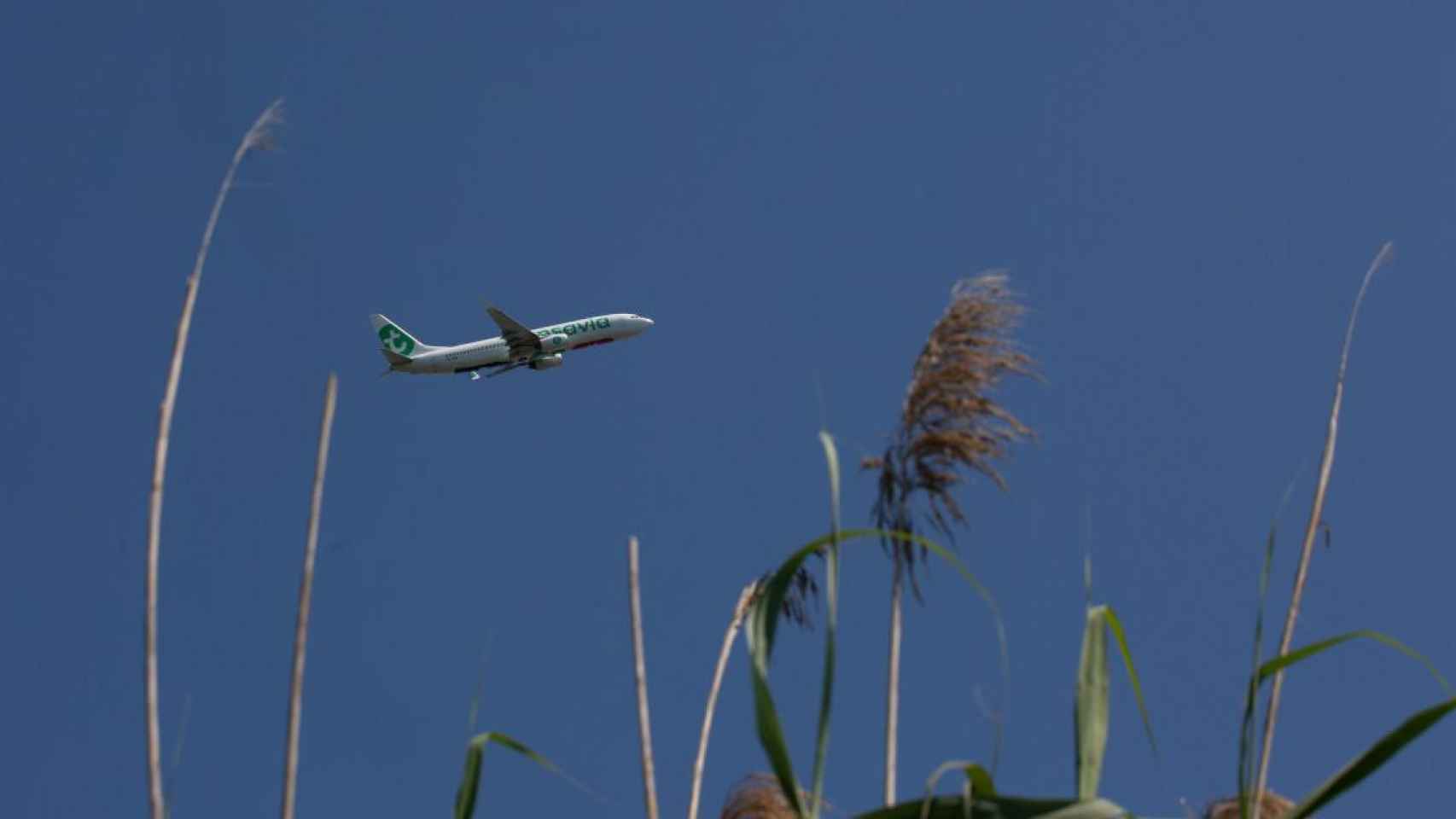 Un avión despega desde el aeropuerto de El Prat / EP
