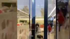 Un fotograma del saqueo en un supermercado en Girona / FUERZAS DEL ORDEN
