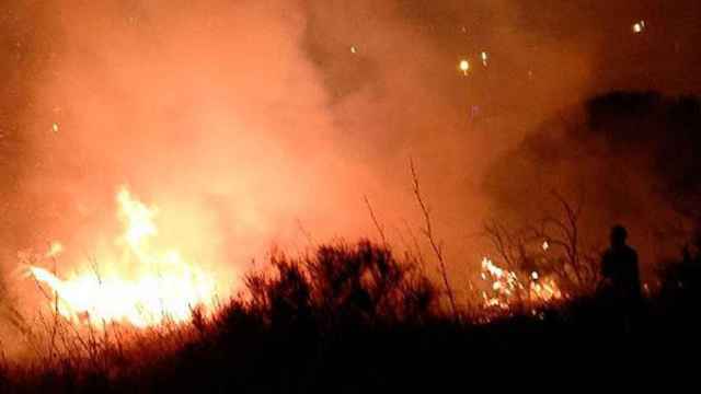 Las llamas queman en el incendio declarado en Collserola el domingo / BOMBERS