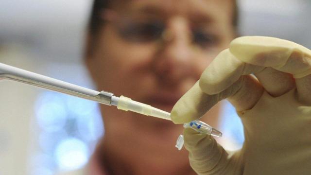 Detalle de un científico trabajando en un laboratorio / EFE