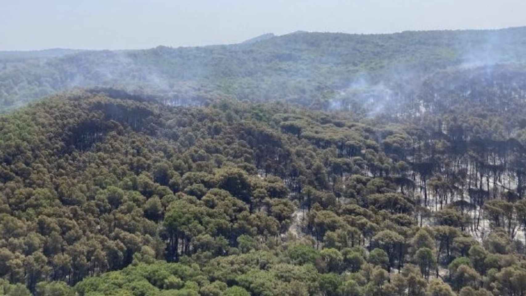 Zona afectada por el incendio en Torroella de Montgrí / BOMBERS
