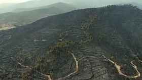 Una zona del Berguedà arrasada por el incendio de 1994