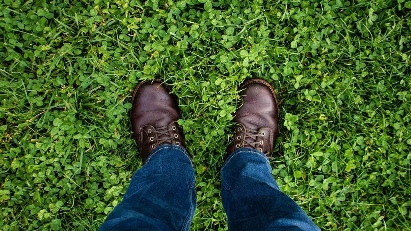 Dos zapatos sobre hierba / UNSPLASH