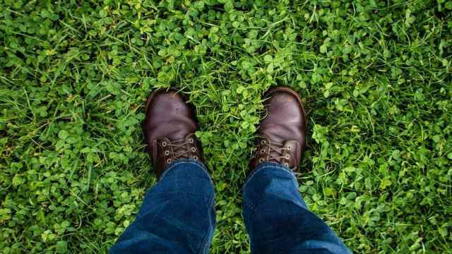 Dos zapatos sobre hierba / UNSPLASH