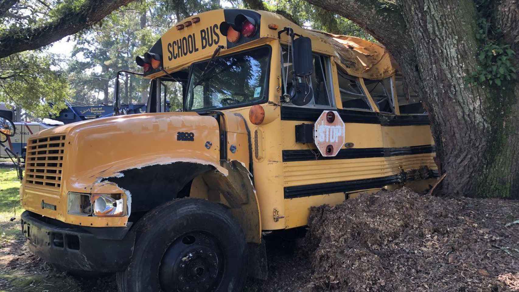Un bus escolar choca contra un árbol / TWITTER