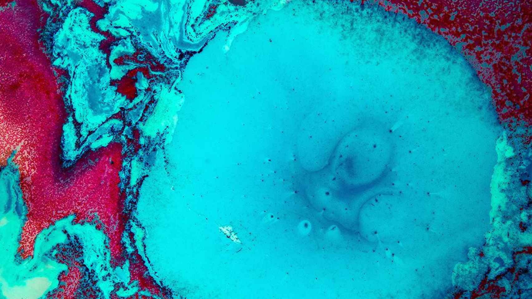 Algunas células pigmentadas en un laboratorio / UNSPLASH