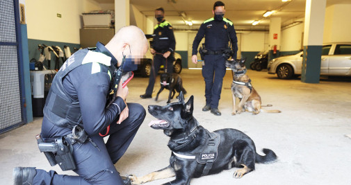 Efectivos de la unidad canina de la Policía Local de Granollers, que dirige el caso / Cedida