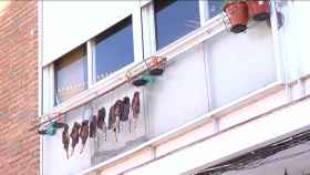 Pollos colgados en un balcón / TELEMADRID