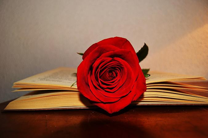Un libro y una rosa, protagonistas de Sant Jordi en Barcelona / PIXABAY