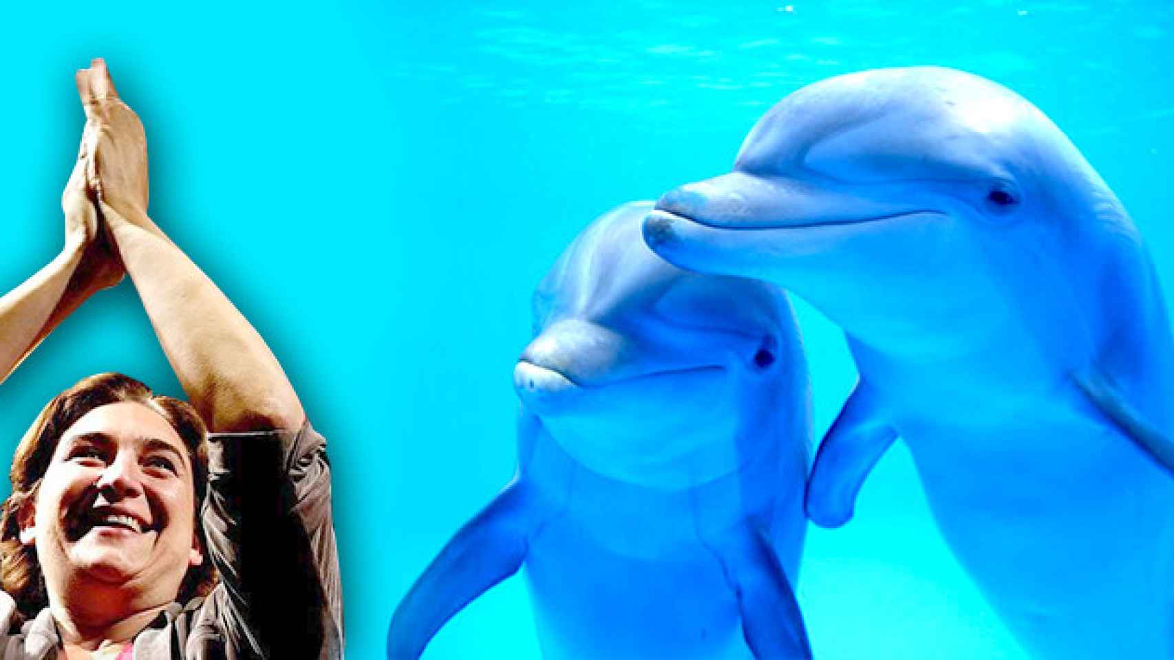 La alcaldesa de Barcelona, Ada Colau, y los delfines del Zoo de Barcelona./ FOTOMONTAJE CG
