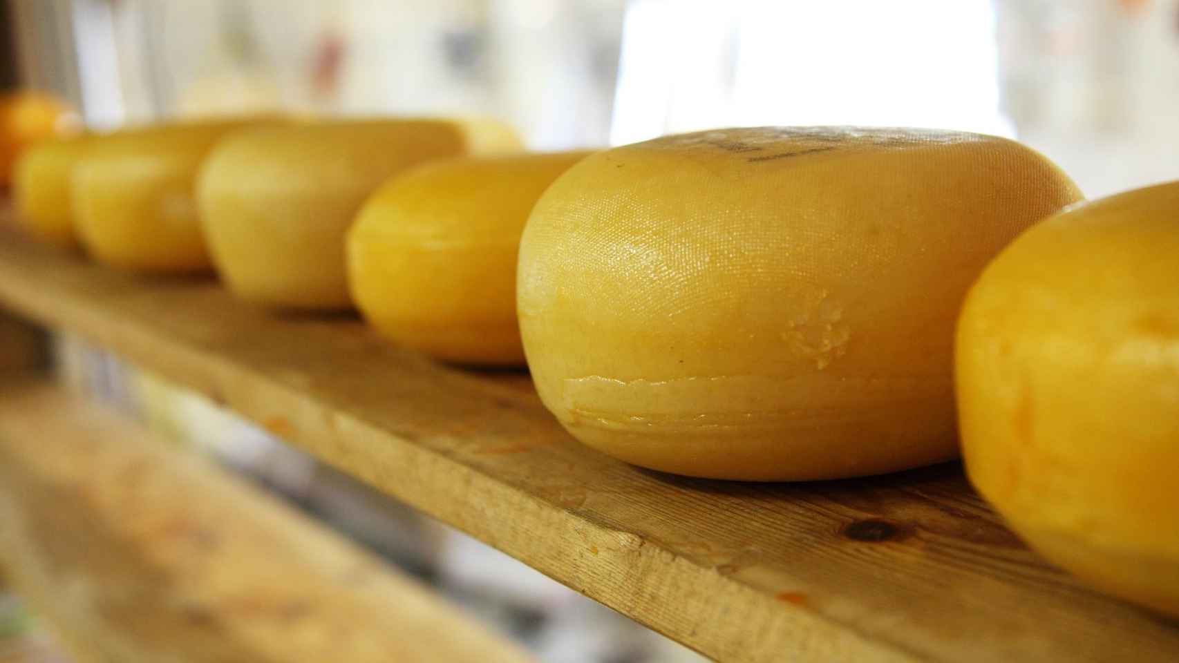 Imagen tomada de quesos artesanales / PIXABAY
