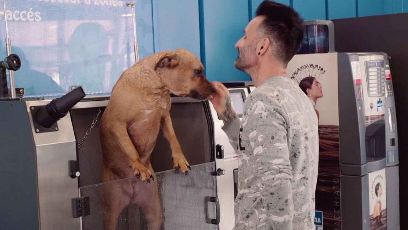 Un joven limpia a su perro en un establecimiento de lavado de mascotas / LAVAKAN