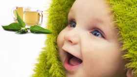 El reportaje propone curar a los bebés con, entre otros, Urtica urens, extracto de ortiga