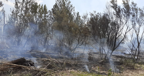 Incendio en Seròs (Lleida) / AGENTS RURALS