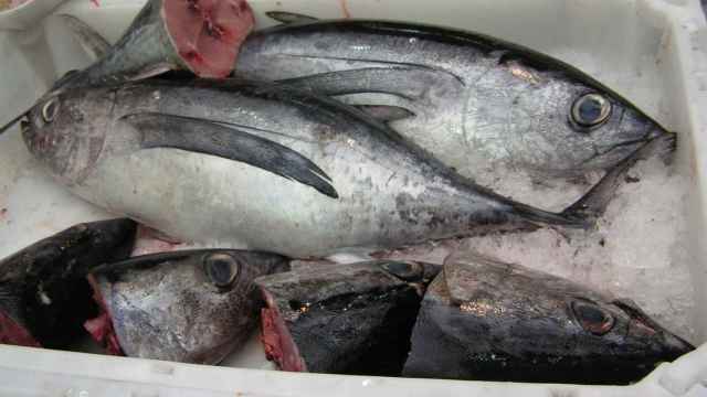Este martes se acaba el pescado en España