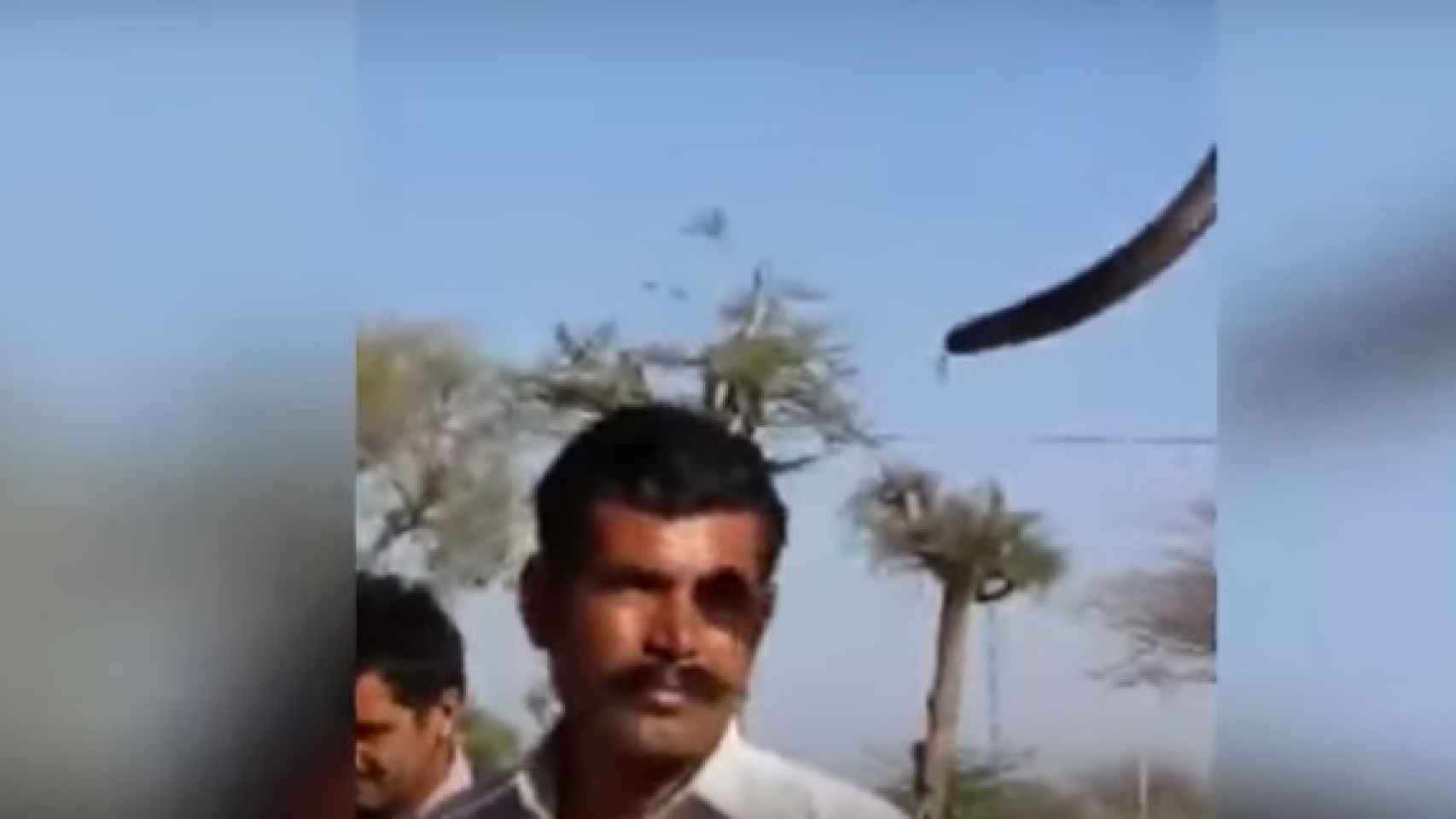 Captura del hombre mordido por una cobra en India / Youtube