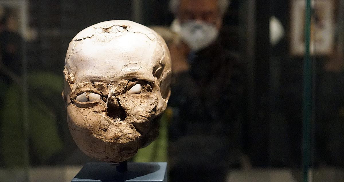 Este cráneo enyesado y modelado es la pieza má antigua que se puede ver en la exposición de CaixaForum Madrid / YOLANDA CARDO