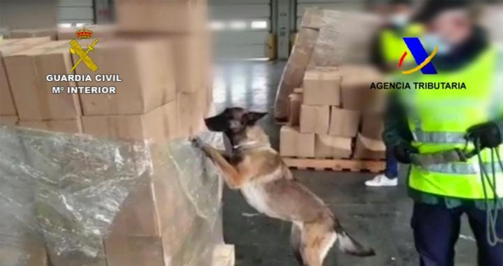 Un perro de la Benemérita busca estupefacientes en un contenedor / GUARDIA CIVIL