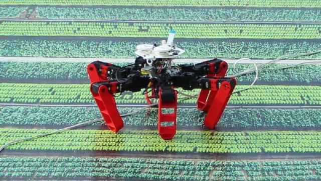 Robot AntBot / CNRS - AMU