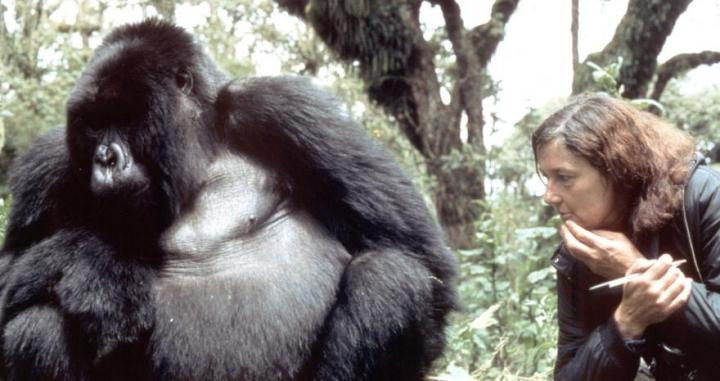 Dian Fossey con un gorila.