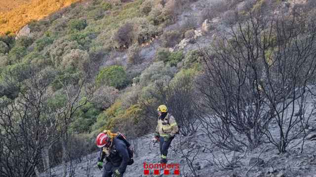 Los Bomberos de la Generalitat trabajan para dar por extinguido el incendio entre Portbou y Francia / BOMBERS