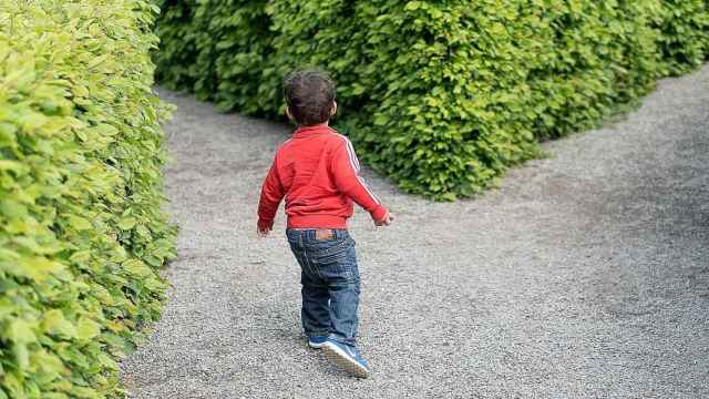 Un niño jugando en uno de estos laberintos / PIXABAY