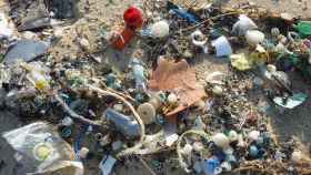 Residuos esparcidos por la playa / PIXABAY